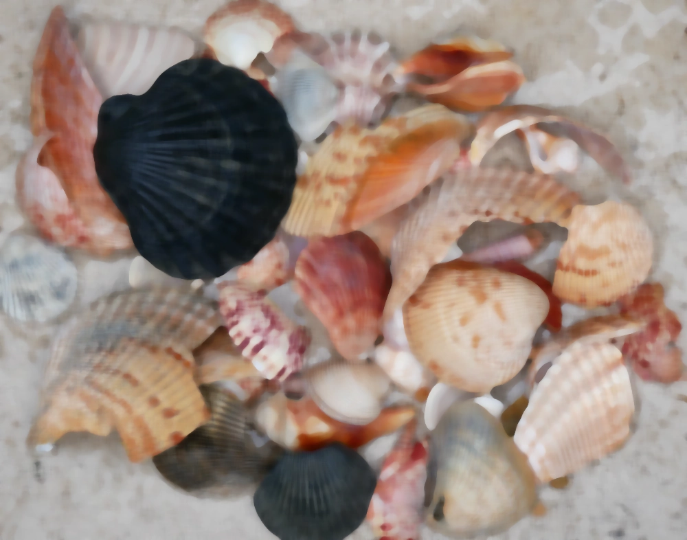 Blurred version of the photo to better see blocks of color