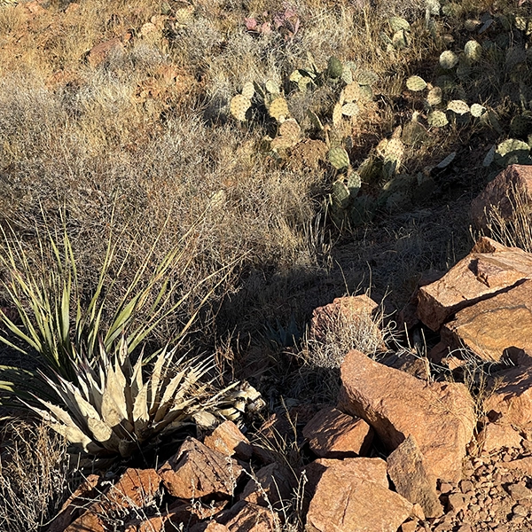 Franklin Mountains color palette preview